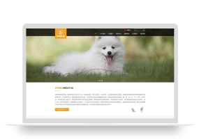 (自适应手机端)pbootcms响应式大气宠物食品动物网站模板 HTML5猫粮狗粮网站源码