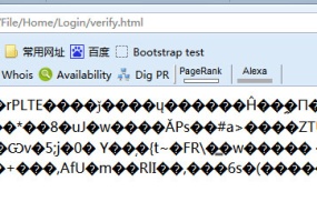 PbootCMS网站在阿里云虚拟主机上验证码不显示原因