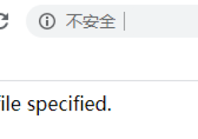 PbootCMS网站转移后无法打开报错提示“No input file specifed”